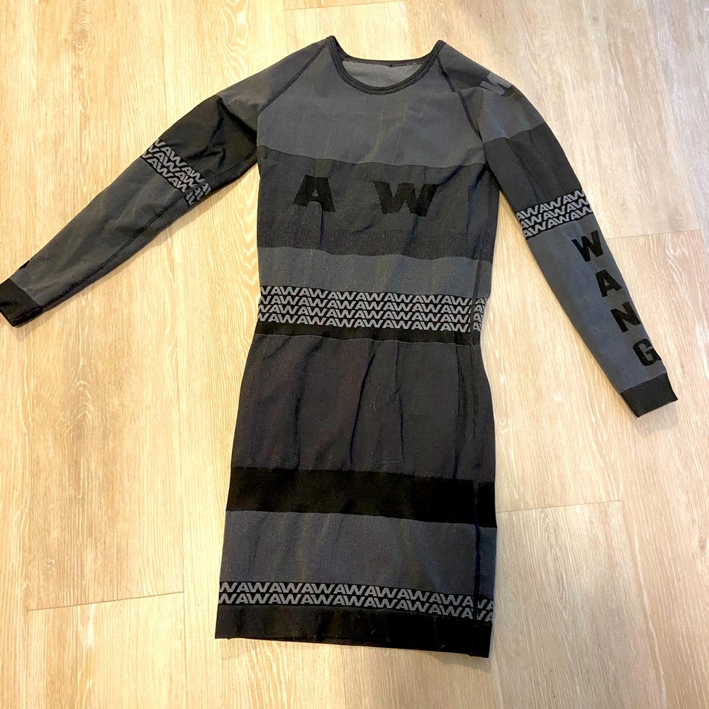 Alexander Wang X h&m